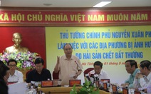 Thủ tướng Nguyễn Xuân Phúc: rà soát hết, kể cả Formosa