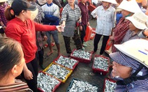 Chợ cá bãi Gò, Hà Tĩnh nhộn nhịp trở lại