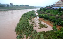 Làm đập thủy điện đụng đến sông Hồng sẽ mất vựa lúa