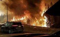 ​Cháy rừng dữ dội ở Canada, cả thành phố sơ tán