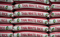 ​Thái Lan đứng đầu thế giới về xuất khẩu gạo trong quý đầu năm