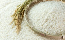 ​Quản lý và phát triển thương hiệu gạo Việt Nam