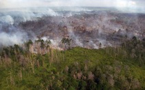 ​Indonesia phản đối Singapore điều tra các công ty gây cháy rừng