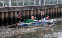 Khắc phục tình trạng cá chết trên kênh Nhiêu Lộc - Thị Nghè