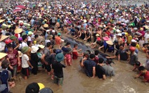 Hàng ngàn người xem cứu cá voi 10 tấn mắc cạn tại Nghệ An