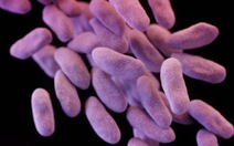 Mỹ phát hiện siêu khuẩn kháng mọi loại thuốc