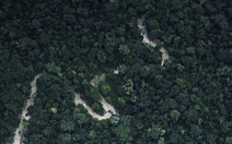 ​Thỏa thuận hợp tác 6,1 triệu USD giúp Peru bảo tồn rừng Amazon