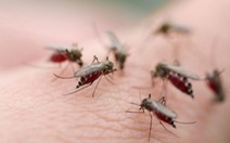 ​Hưởng ứng “Ngày ASEAN phòng chống sốt xuất huyết” 15-6
