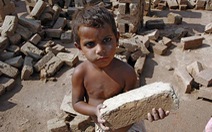 ​ILO: Khoảng 168 triệu trẻ em có nguy cơ bị bóc lột sức lao động
