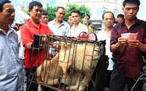 ​11 triệu người phản đối lễ hội thịt chó của Trung Quốc 