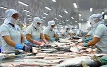 ​Thêm 12 cơ sở chế biến cá da trơn được xuất khẩu sang Hoa Kỳ