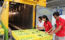 Xuất khẩu trái cây vào Mỹ, Nhật... tăng trên 80%