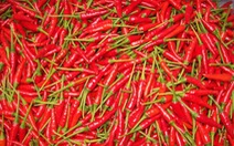 ​Cơ hội cho các doanh nghiệp Việt xuất khẩu ớt vào Malaysia