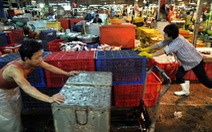 Chợ Bình Điền mở khu vực bán thủy hải sản  cao cấp