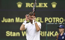 Del Potro bất ngờ đánh bại Wawrinka ở vòng 2 Wimbledon
