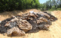 Bộ Công an điều tra vụ chôn 100 tấn chất thải của Formosa