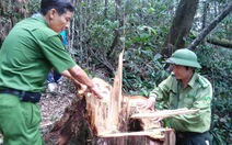 ​Mời bạn nghe những nội dung nổi bật trong ngày 21-7