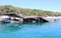 ​Điểm tin: Sập bè tại vịnh Vĩnh Hy, khoảng 300 khách rơi xuống biển