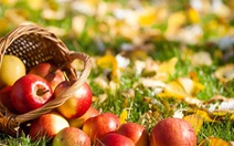​6 tác dụng tuyệt vời cho sức khỏe của trái táo
