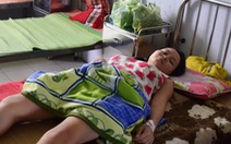 Quảng Nam: Hai người nhập viện do bị rắn lục đuôi đỏ cắn