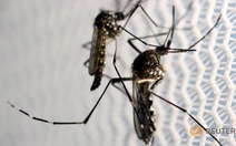 ​Phát hiện virus Zika, Long An khẩn trương ứng phó