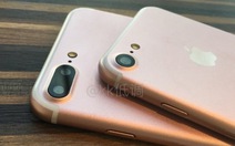 iPhone 7 sẽ ra mắt ngày 7-9 kèm k​ính VR?