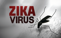 Việt Nam có ca nhiễm Zika thứ 5