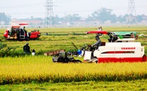 Cán bộ chặn máy gặt lúa vì không được “bảo lãnh”
