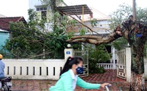 ​7 người bị thương, 280 nhà bị hư hại do bão số 4