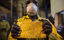 ​Nam Phi phát hiện mỏ vàng lớn có trữ lượng lên tới 322 tấn