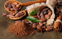 ​Flavanols trong cacao giúp cải thiện suy giảm trí nhớ do tuổi già