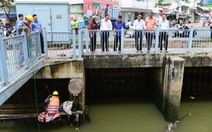 Phản ứng nhanh để bảo vệ cá ở Nhiêu Lộc - Thị Nghè