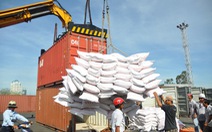 ​Đẩy mạnh thu mua, tiêu thụ lúa gạo hàng hóa