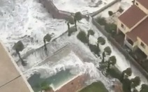 Clip bão Matthew gây "sóng thần" ở Florida