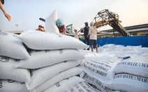 ​Philippines sẽ mua thêm hơn 293.000 tấn gạo từ Việt Nam