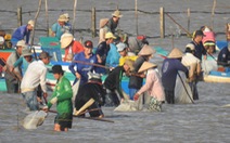 Phía sau chuyện “cướp nghêu”