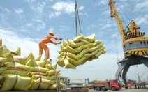 ​Xuất khẩu gạo Việt Nam tăng trưởng ở một số thị trường lớn
