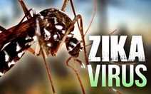 ​TP.HCM: 207 ca nhiễm virut zika