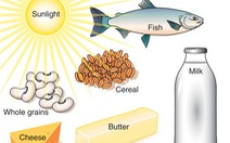 ​Vitamin D giúp tăng khả năng khỏi bệnh ung thư vú ở phụ nữ?