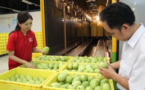 Xuất khẩu trái cây VN bị cản đường