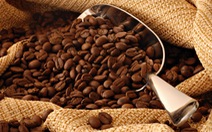 ​Xuất khẩu cà phê sang Algeria tăng mạnh