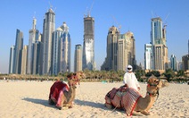 ​Dubai xây thư viện điện tử lớn nhất thế giới trị giá 270 triệu USD