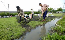 Chống lợi ích nhóm, trục lợi quy hoạch