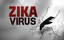 TP.HCM: 17 quận huyện ghi nhận ca bệnh do virút Zika