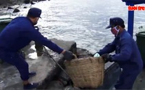 ​Những công nhân âm thầm làm sạch cho đảo
