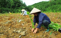 ​Bình Phước thanh tra vụ “lùm xùm” trong dự án khuyến nông