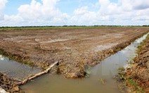 Đồng bằng sông Cửu Long lại đối mặt nguy cơ thiếu nước vào năm 2017