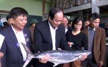 Chính phủ kiểm tra hải sản tồn sau sự cố Formosa ở Quảng Bình