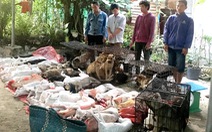 ​Tây Ninh triệt phá đường dây trộm chó chuyên nghiệp