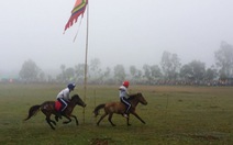 1,5 tỷ USD làm trường đua ngựa lớn nhất VN ở Vĩnh Phúc